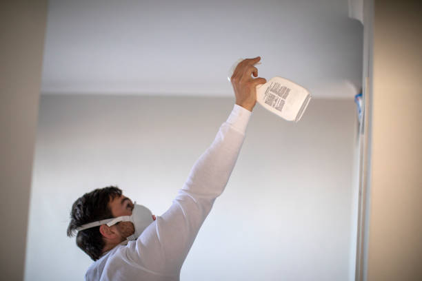 Best Fast Mold Removal  in Wrightwood, CA