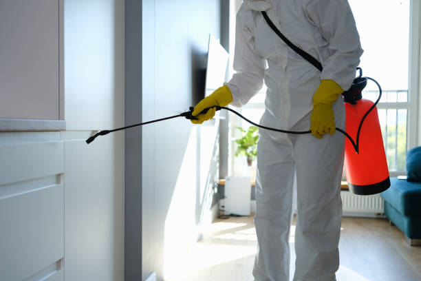Best Crawl Space Mold Removal  in Wrightwood, CA