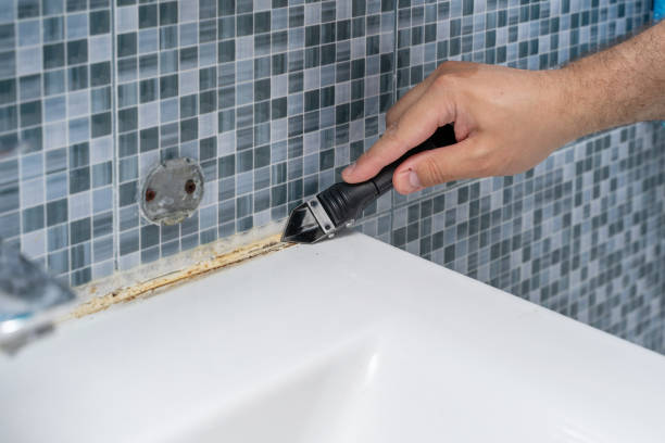Reliable Wrightwood, CA Mold Removal Solutions