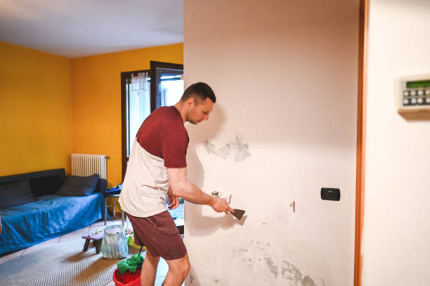 Best Mold Removal and Inspection  in Wrightwood, CA